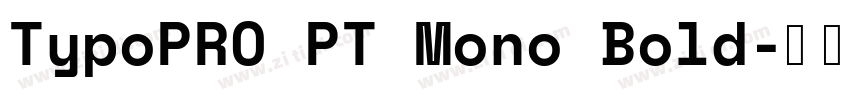 TypoPRO PT Mono Bold字体转换